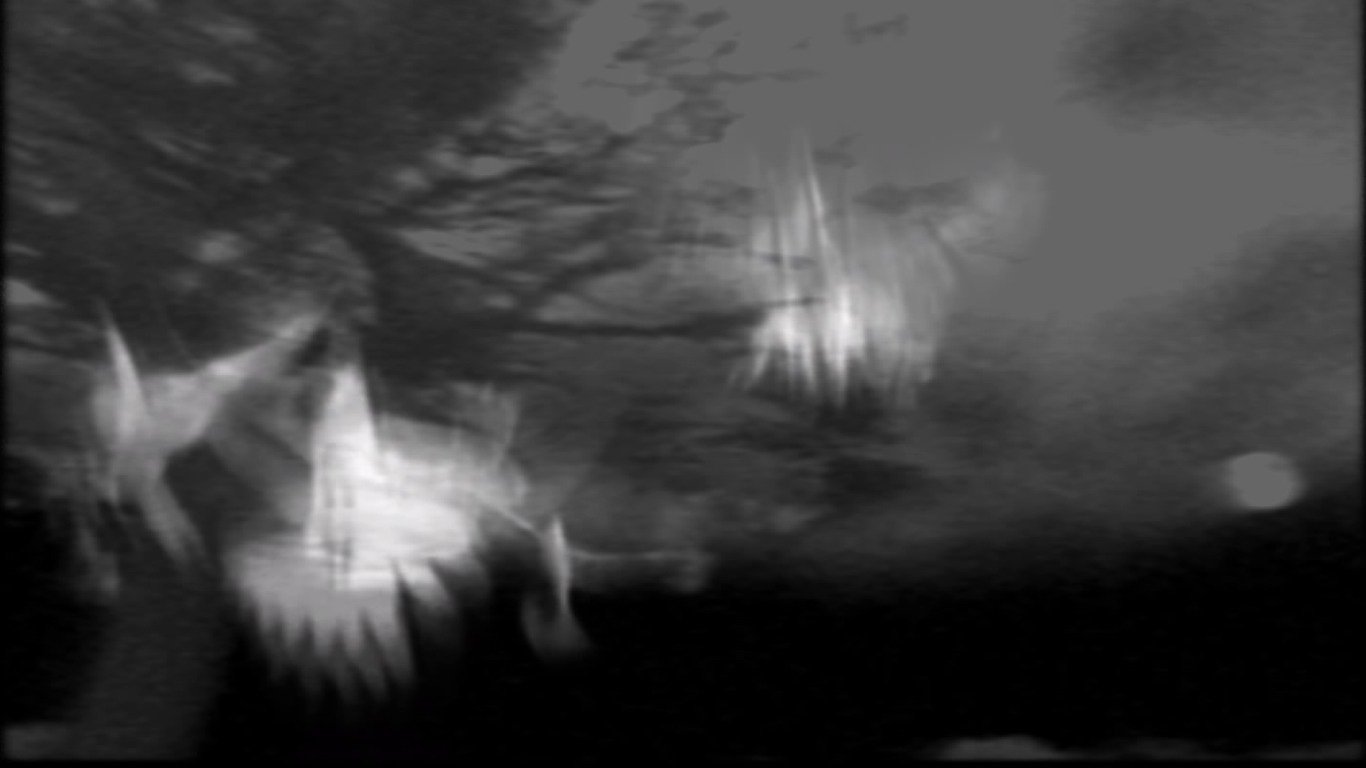 Bill Viola