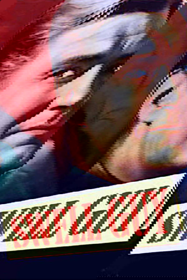 Poster de Swell Guy