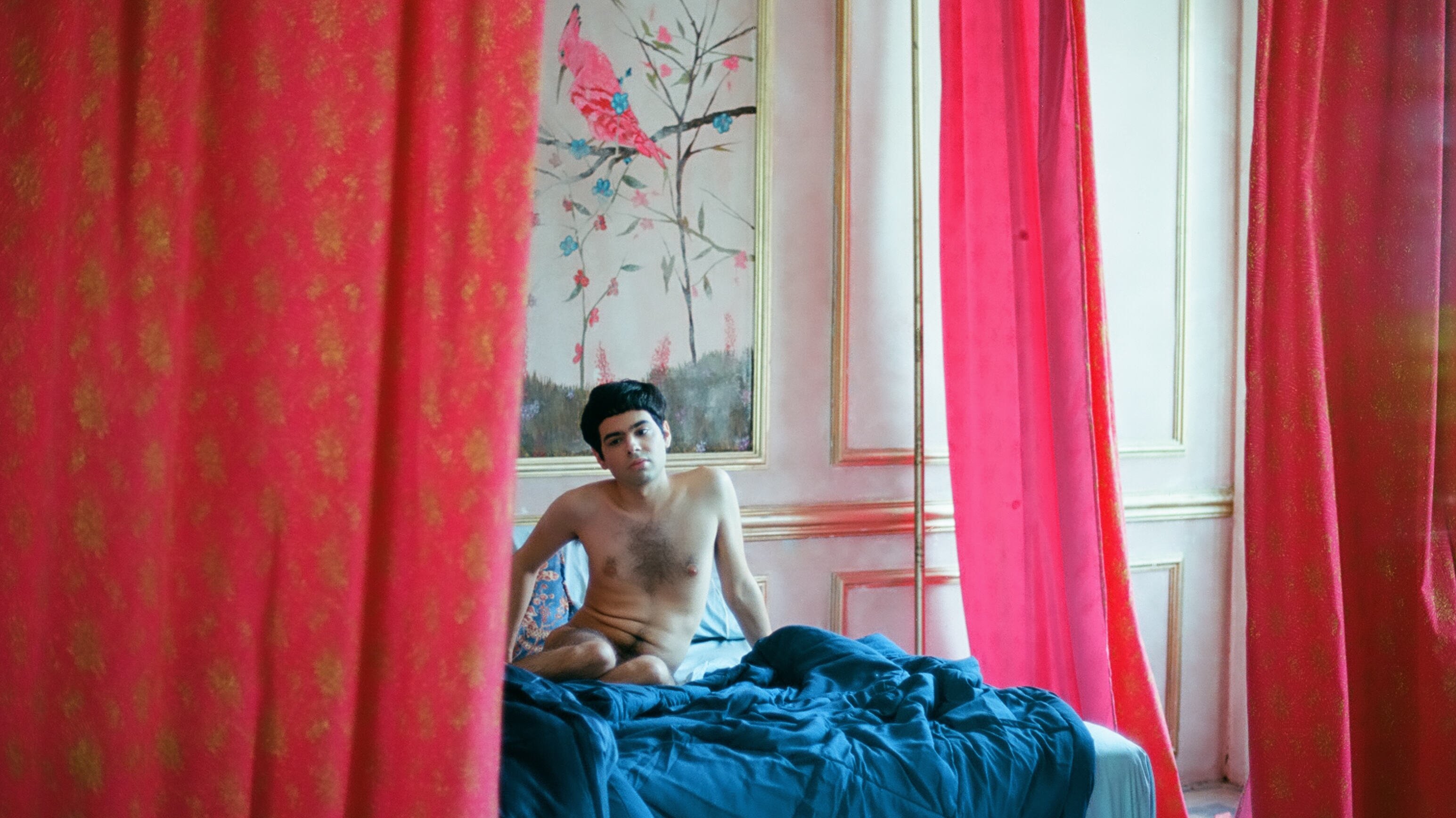 Backdrop image