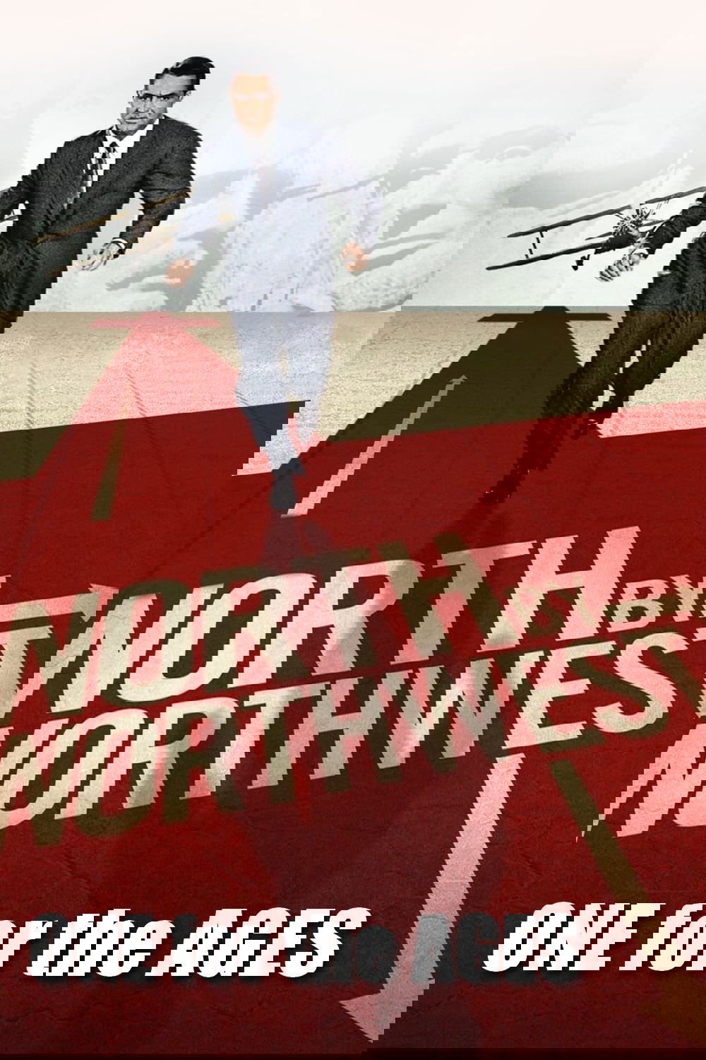 Poster de North by Northwest: One for the Ages