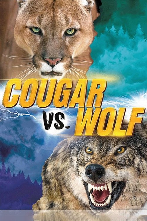 Poster de Conflitos entre Puma e Lobos