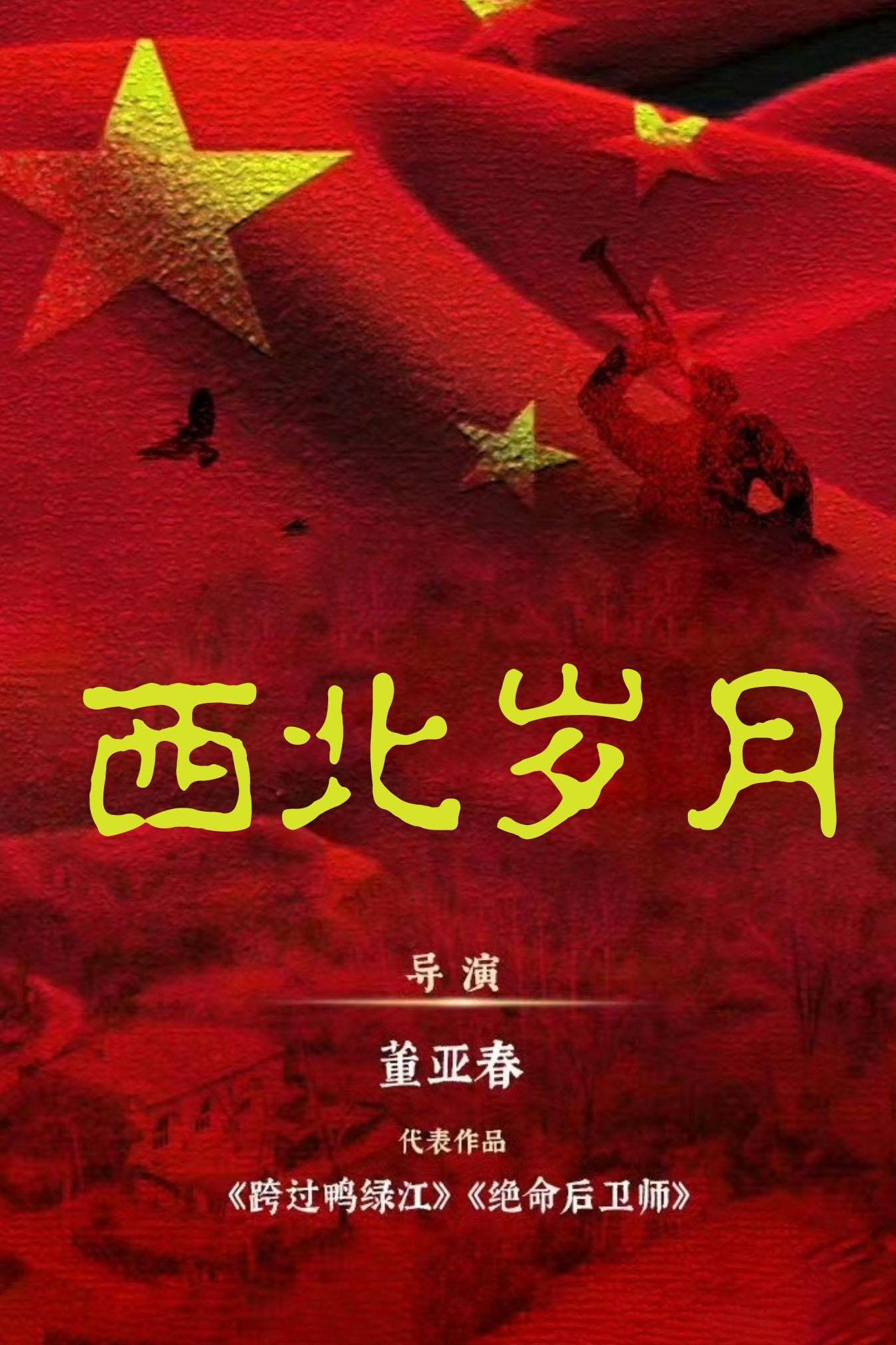 Poster de 西北岁月