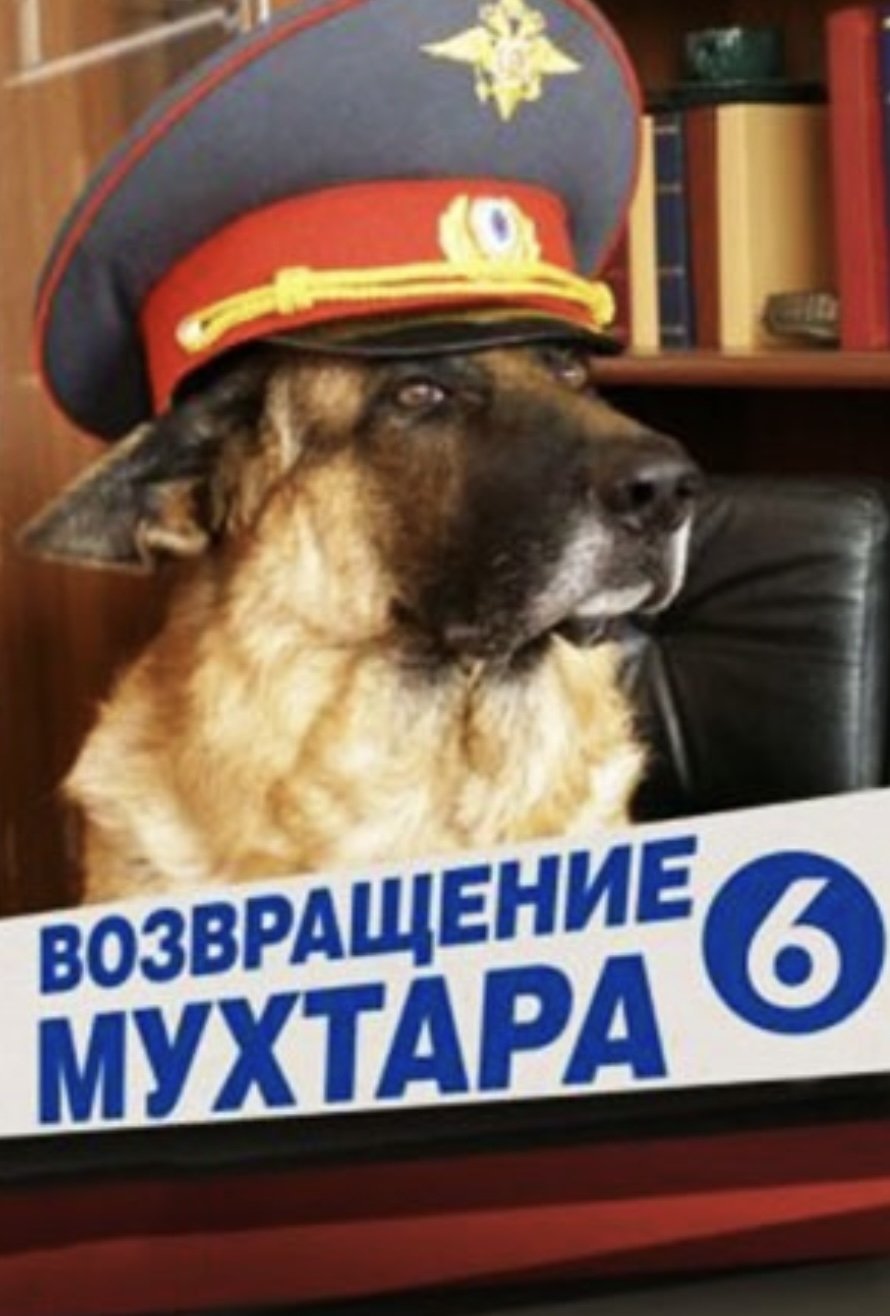 Poster de Temporada 6