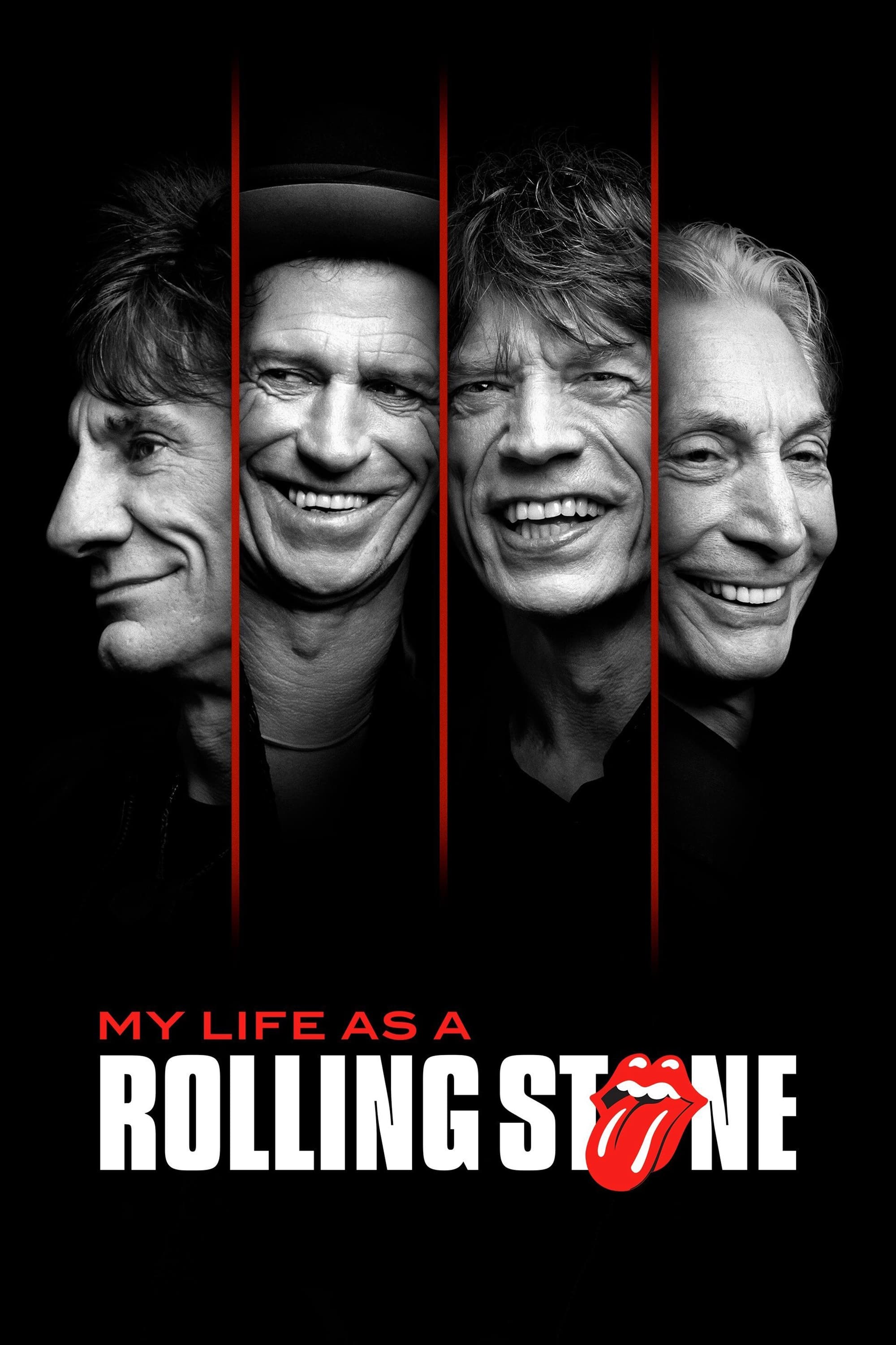 Poster de My Life as a Rolling Stone