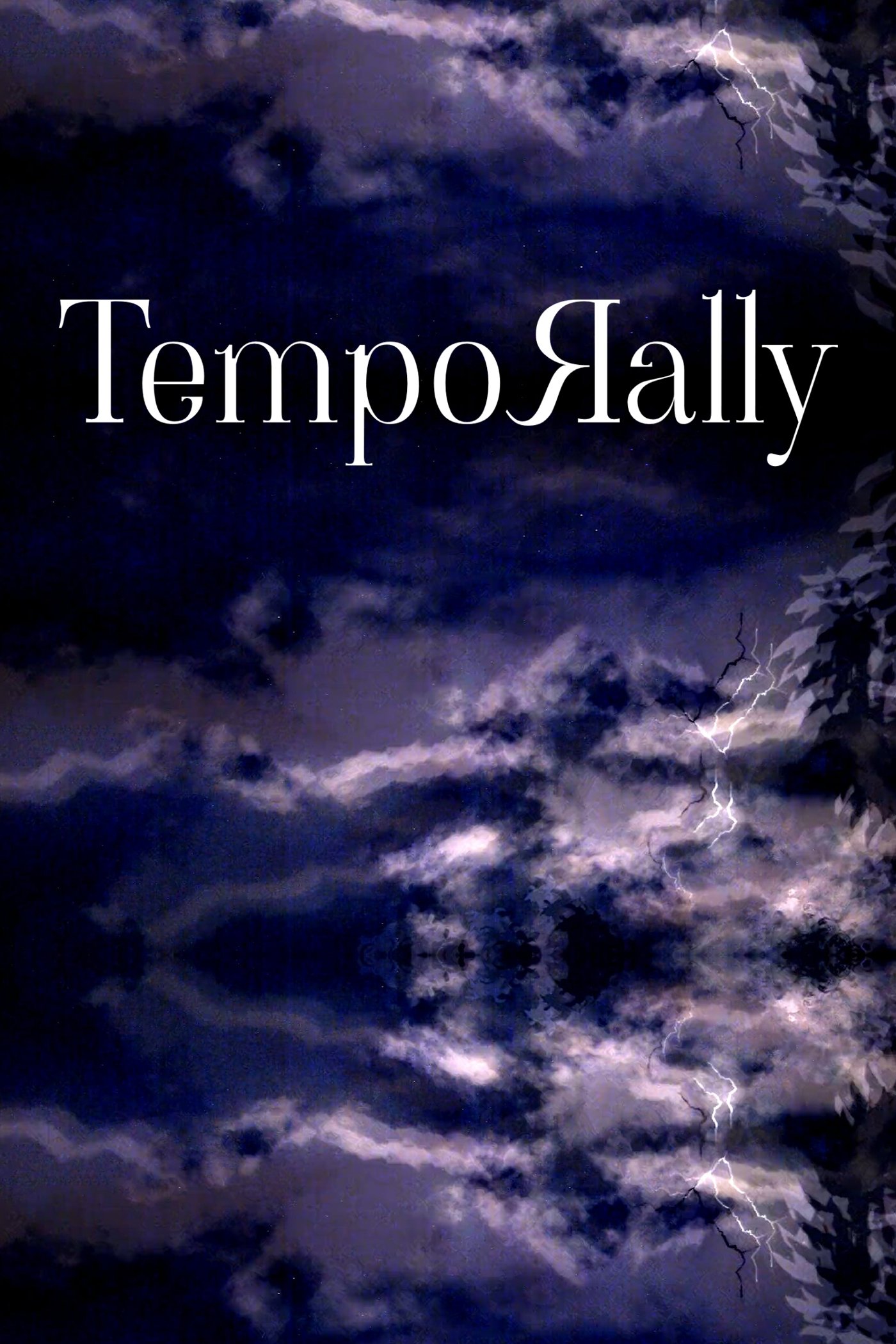 Poster de Temporally