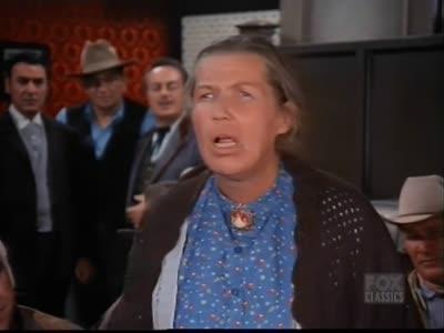 Bonanza 11×21