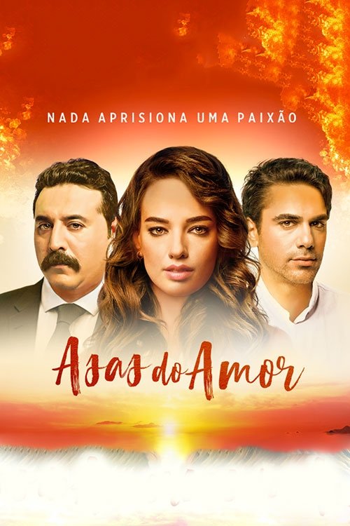 Poster de Asas do amor