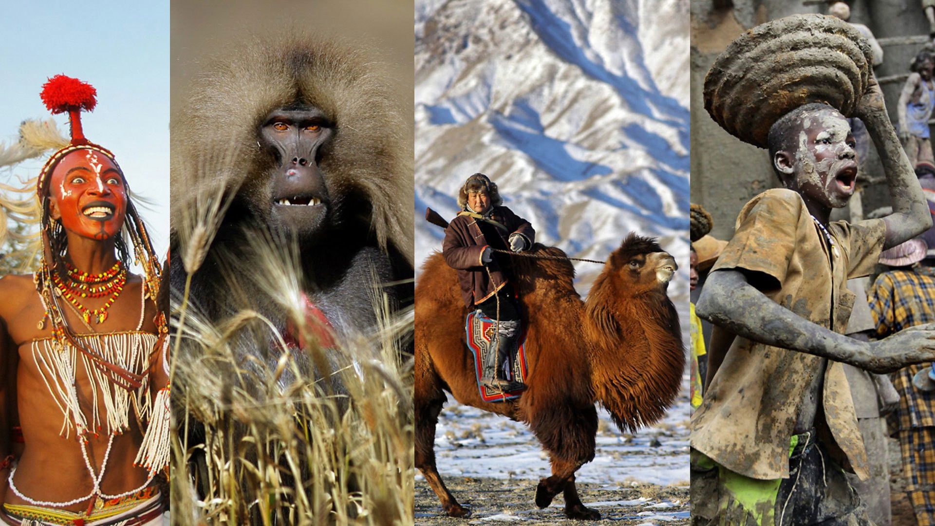 Best of Human Planet