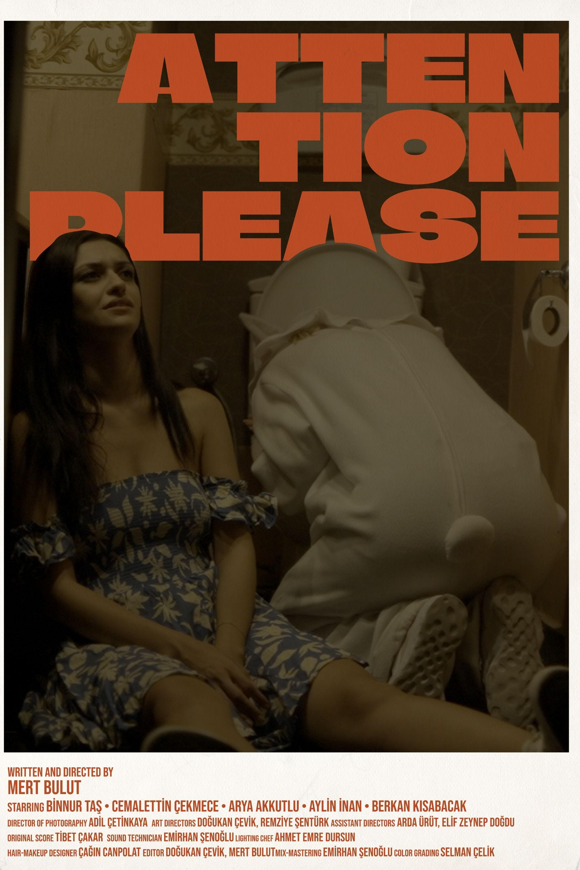 Poster de Attention Please