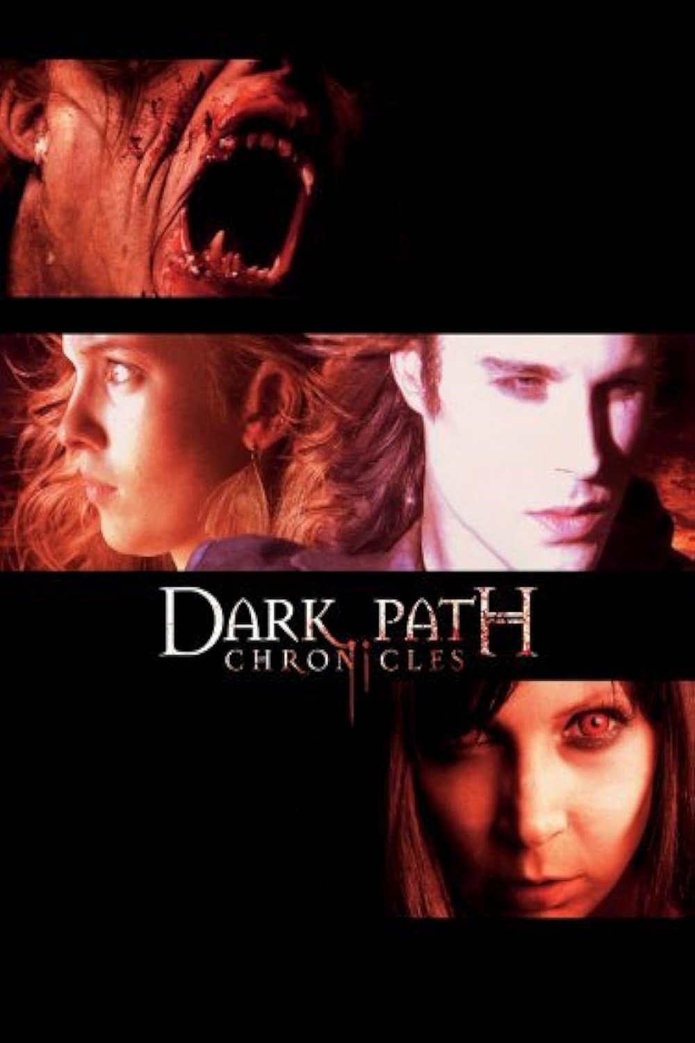 Poster de Dark Path Chronicles