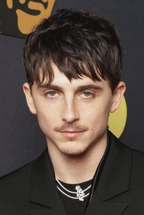 Foto de Timothée Chalamet