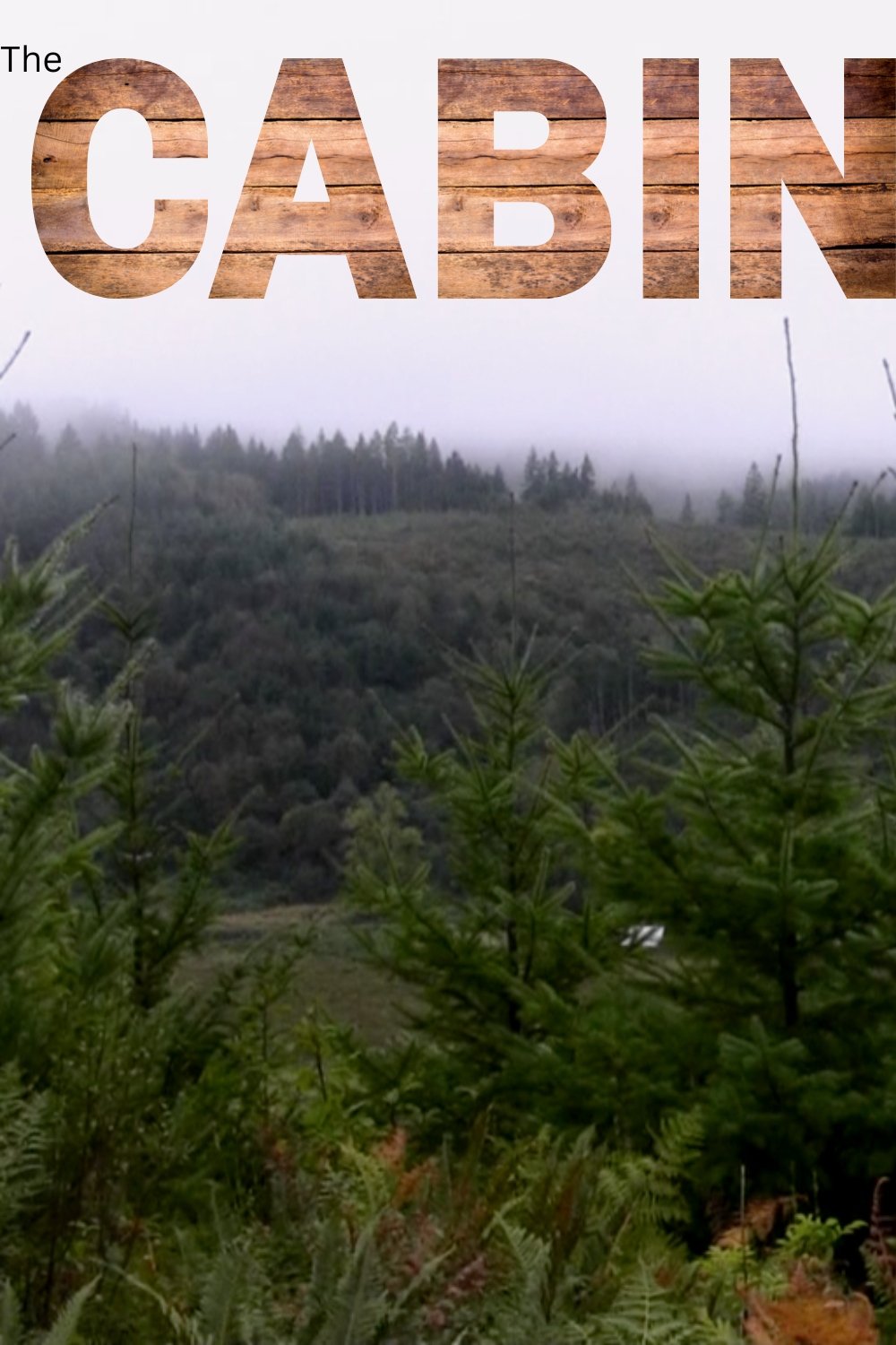 Poster de The Cabin