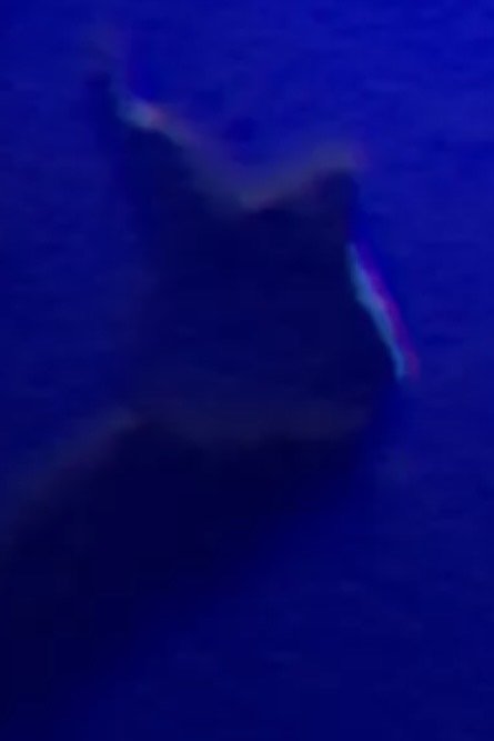 Tooth