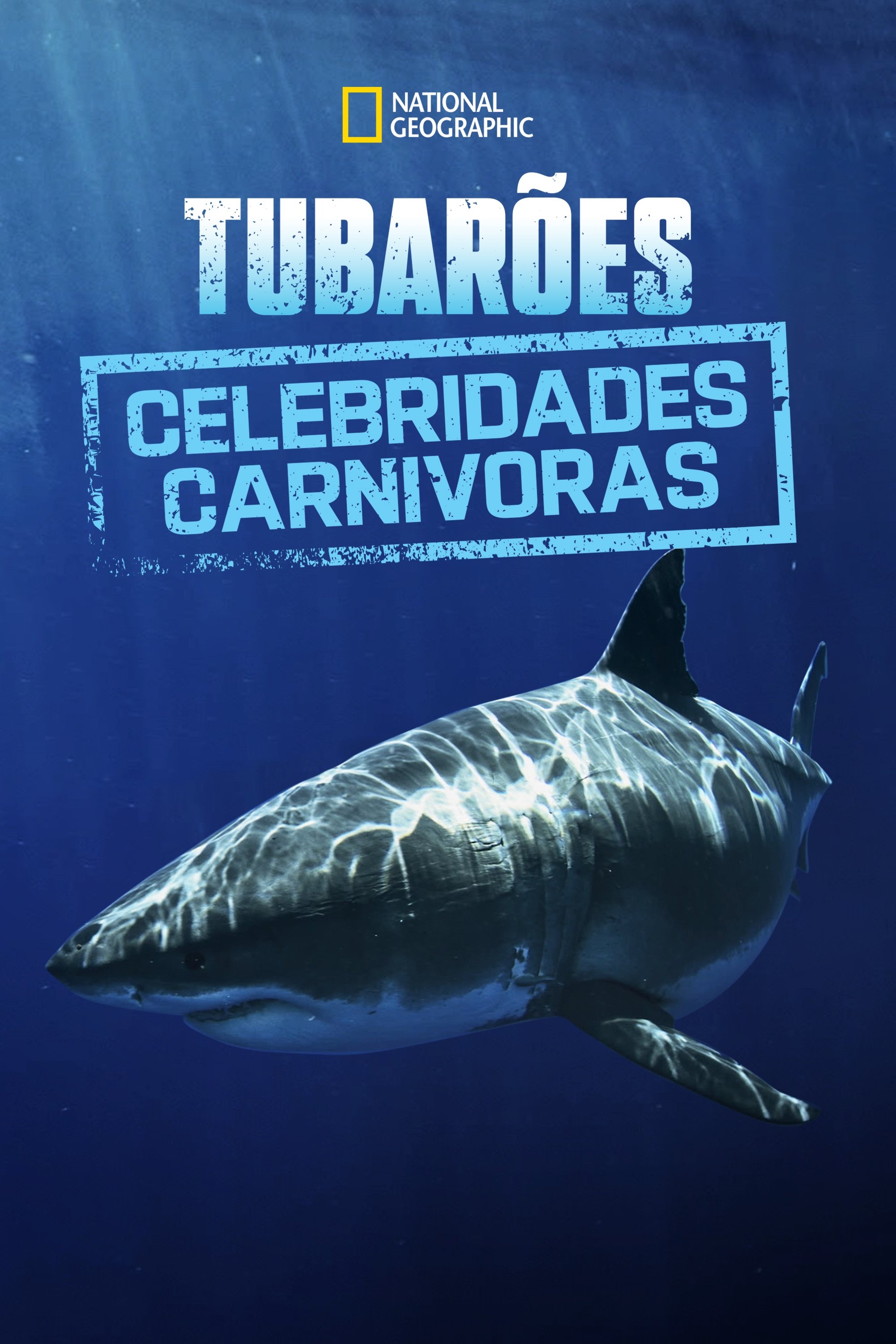Poster de Tubarões: Celebridades Carnívoras