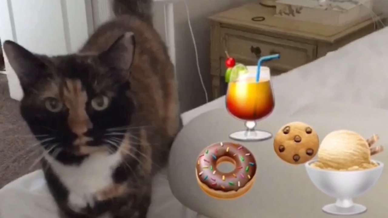 The Adventures of Murphy the Cat #7