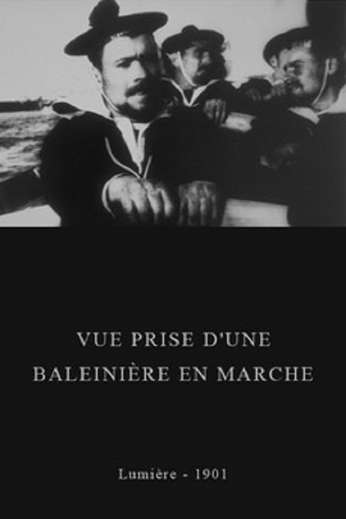 Poster de Vista Tirada de um Barco Baleeiro em Movimento