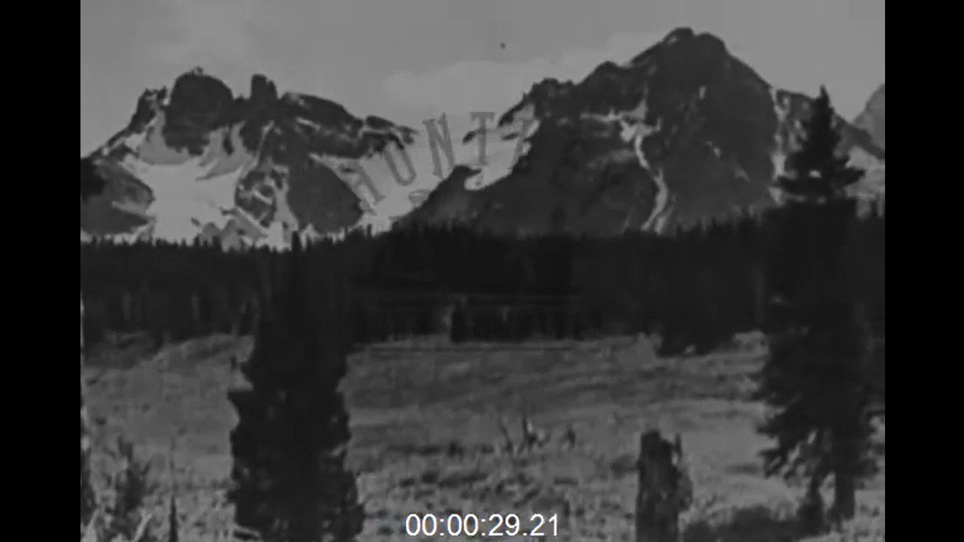 Movie backdrop