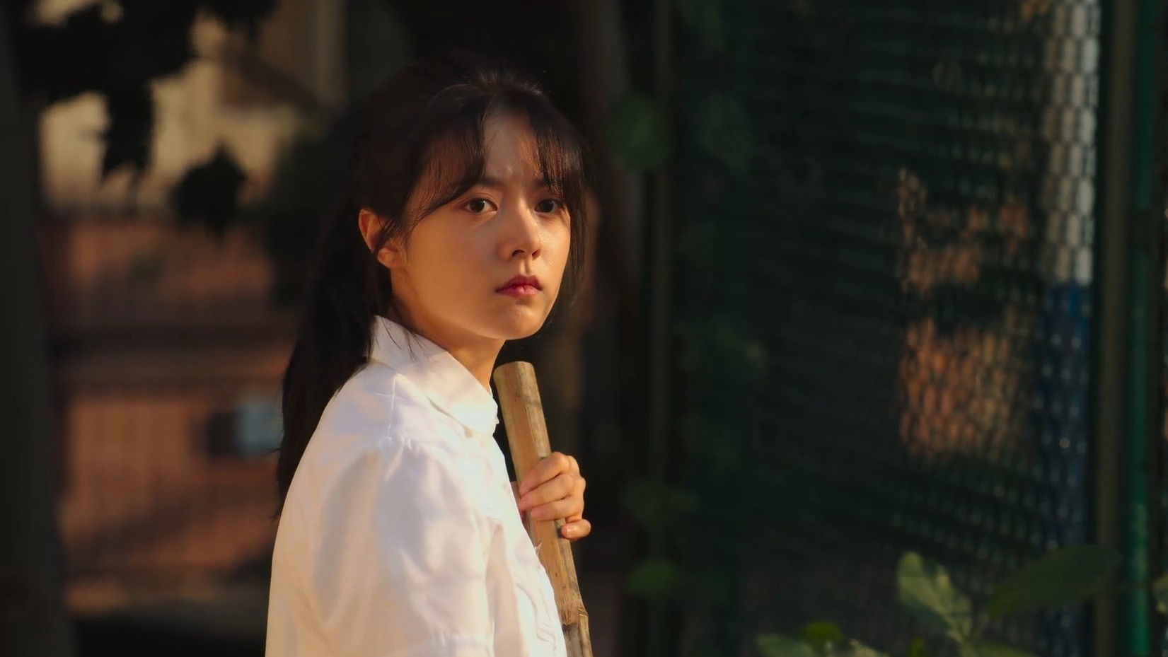 The Cat and the Rabbit