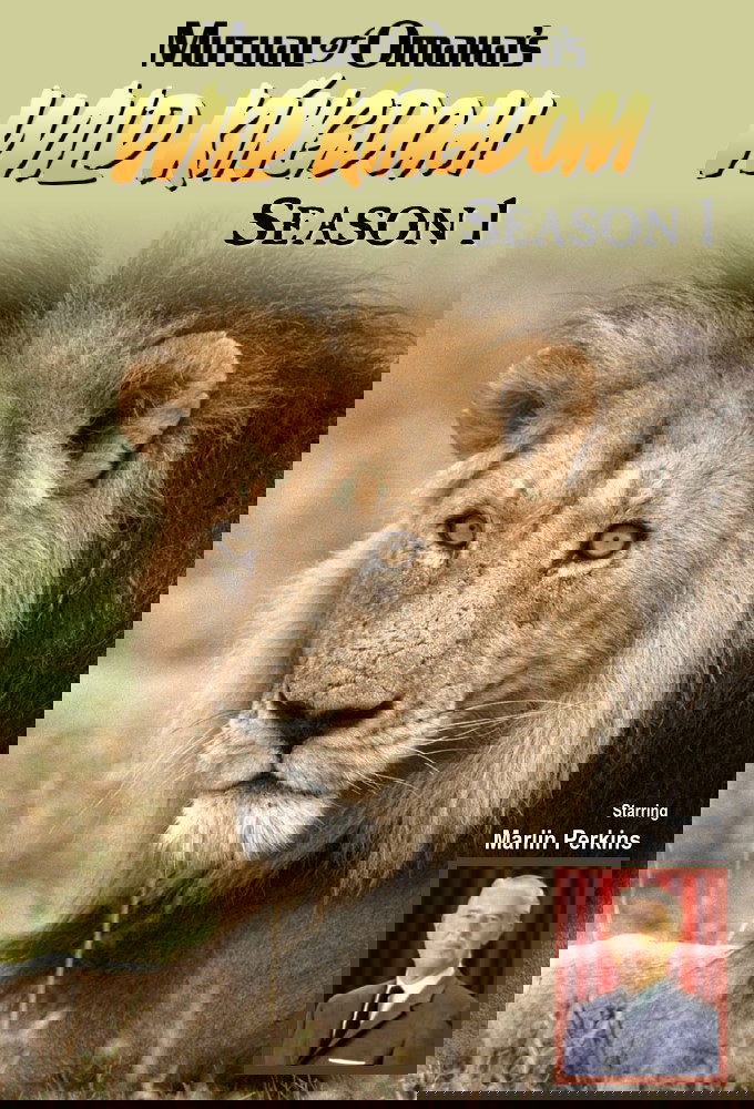 Poster de Temporada 1
