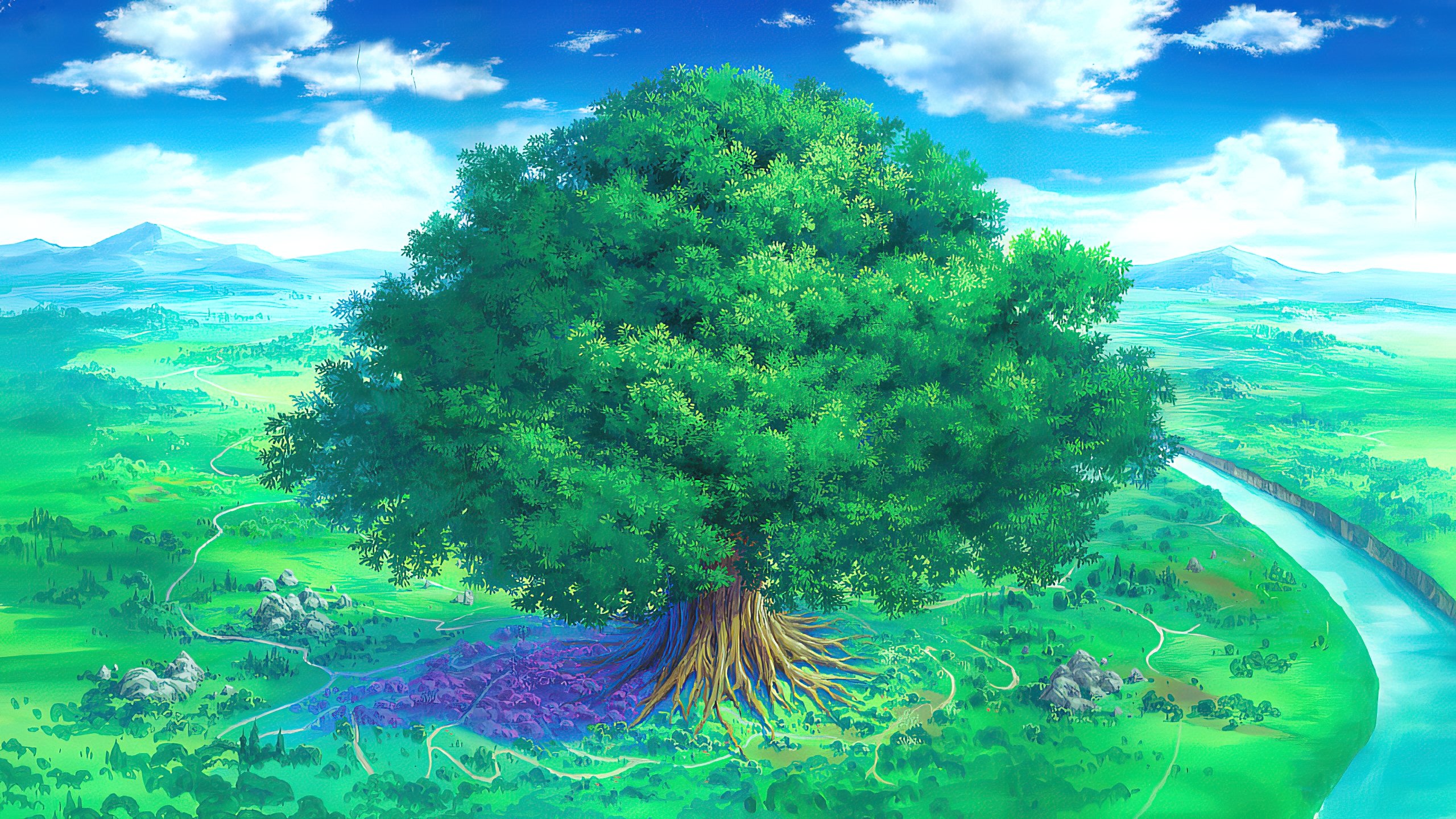 backdrops