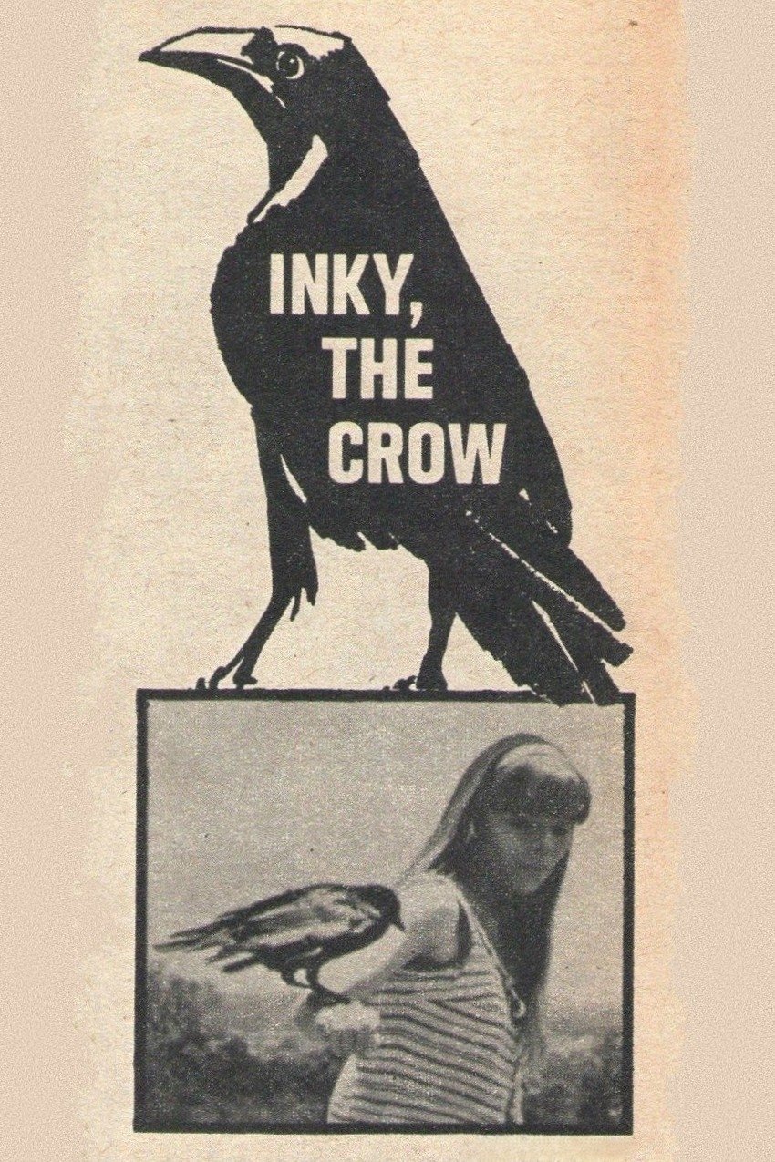 Poster de Inky, the Crow