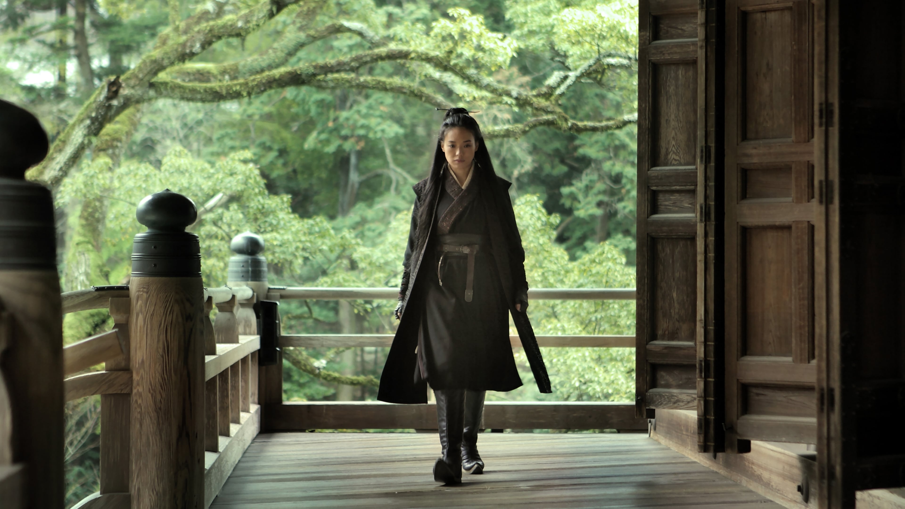 The Assassin 2015 123movies