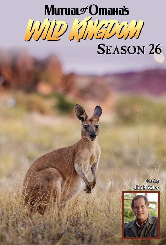 Poster de Temporada 26