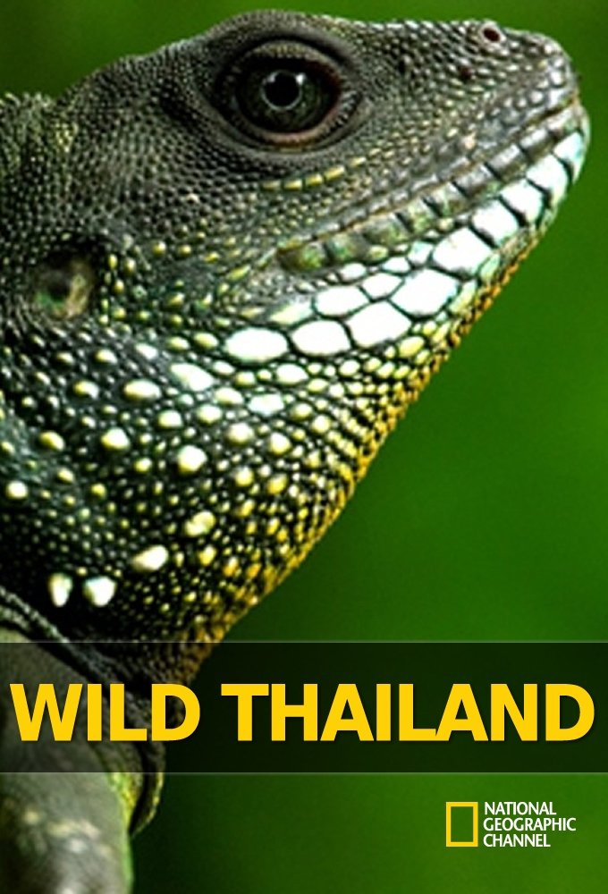 Poster de Tailândia Selvagem