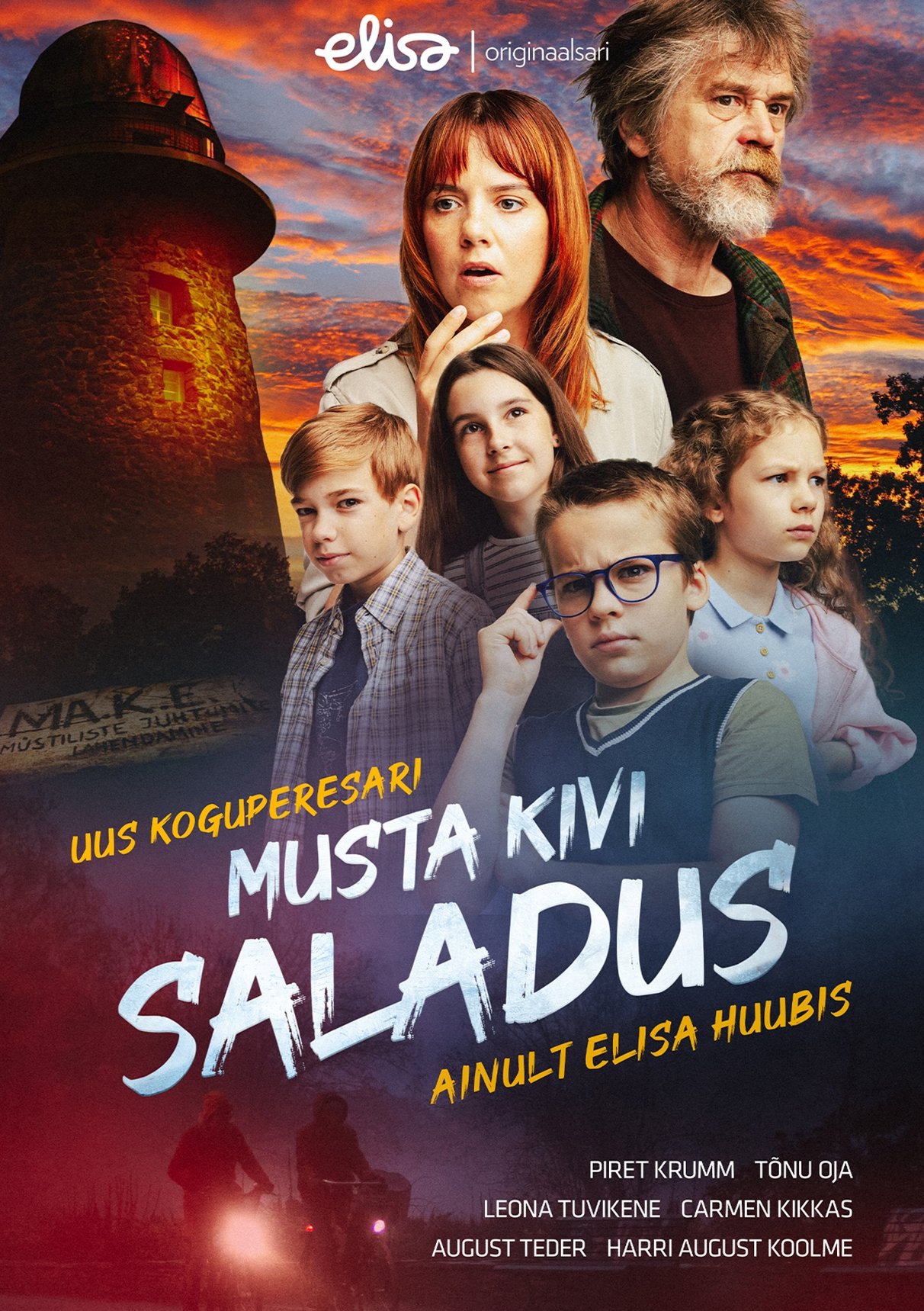 Poster de Musta kivi saladus