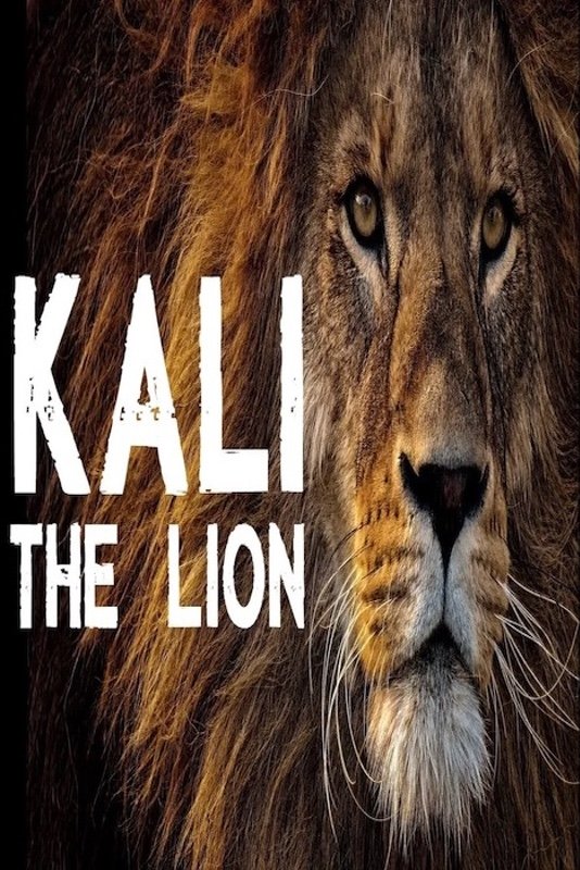 Poster de Kali the Lion