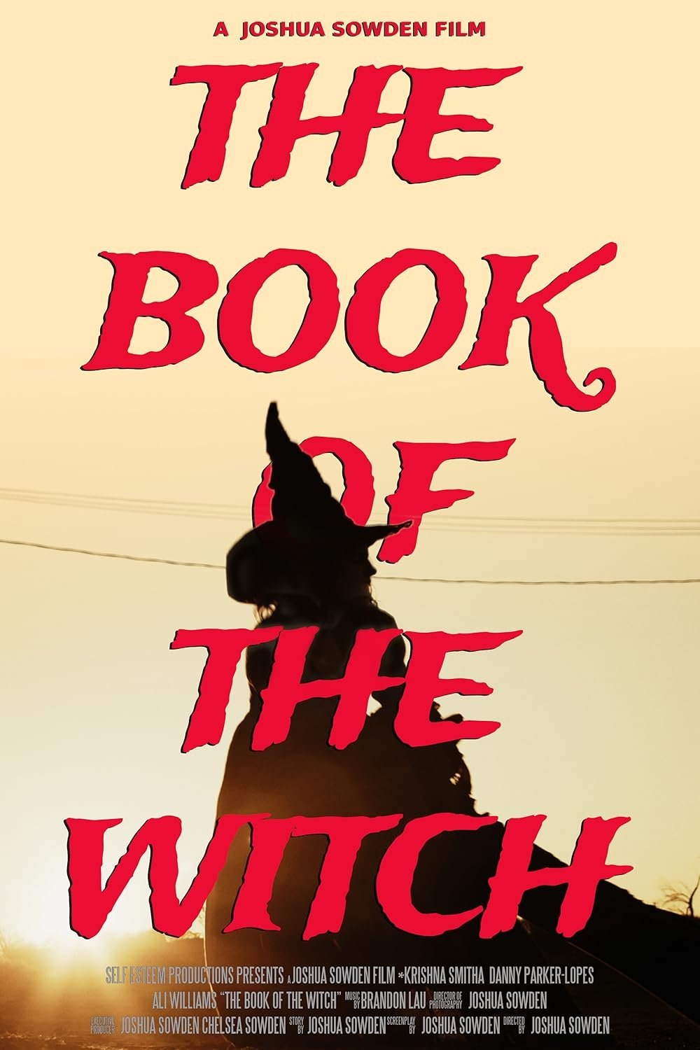 Poster for The Book of the Witch
