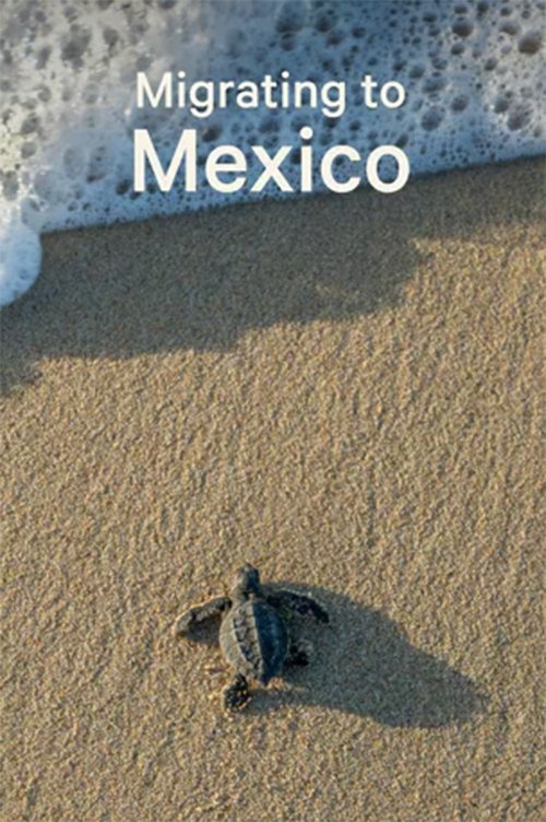 Poster de Migrating to Mexico