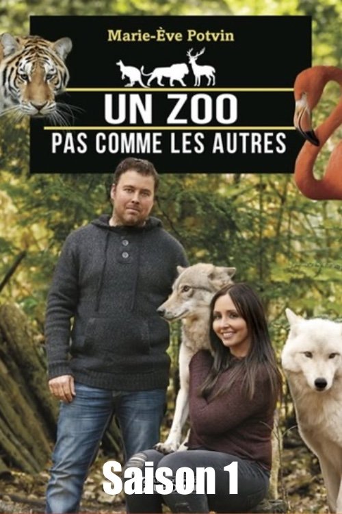 Poster de Temporada 1
