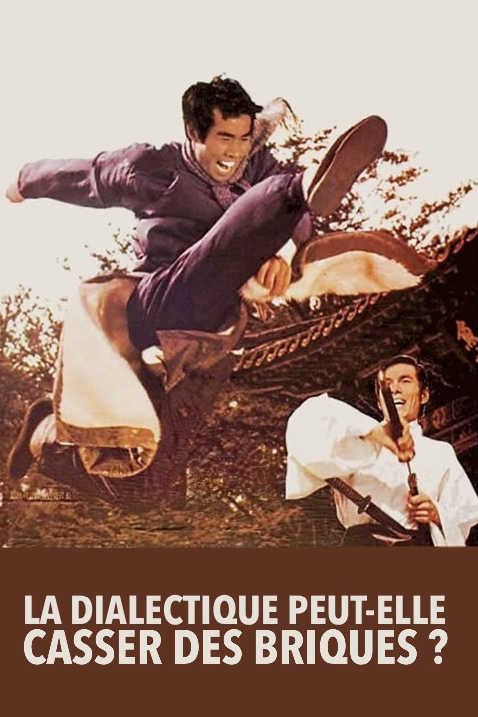 Poster de La dialectique peut-elle casser des briques ?