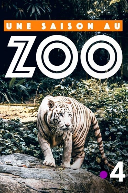 Poster de Une saison au zoo