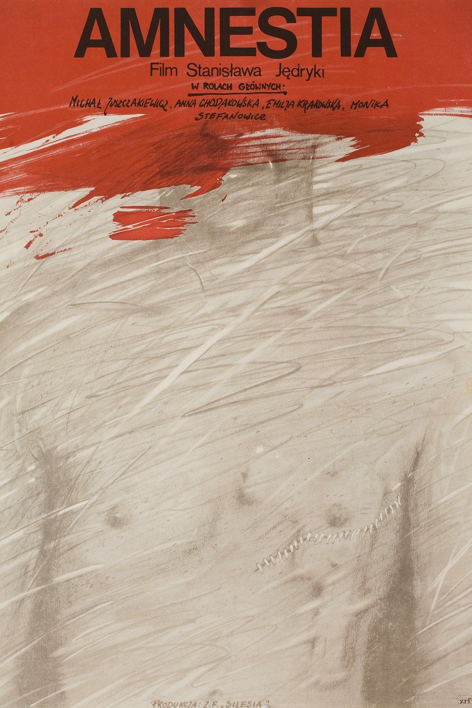 Poster de Amnestia