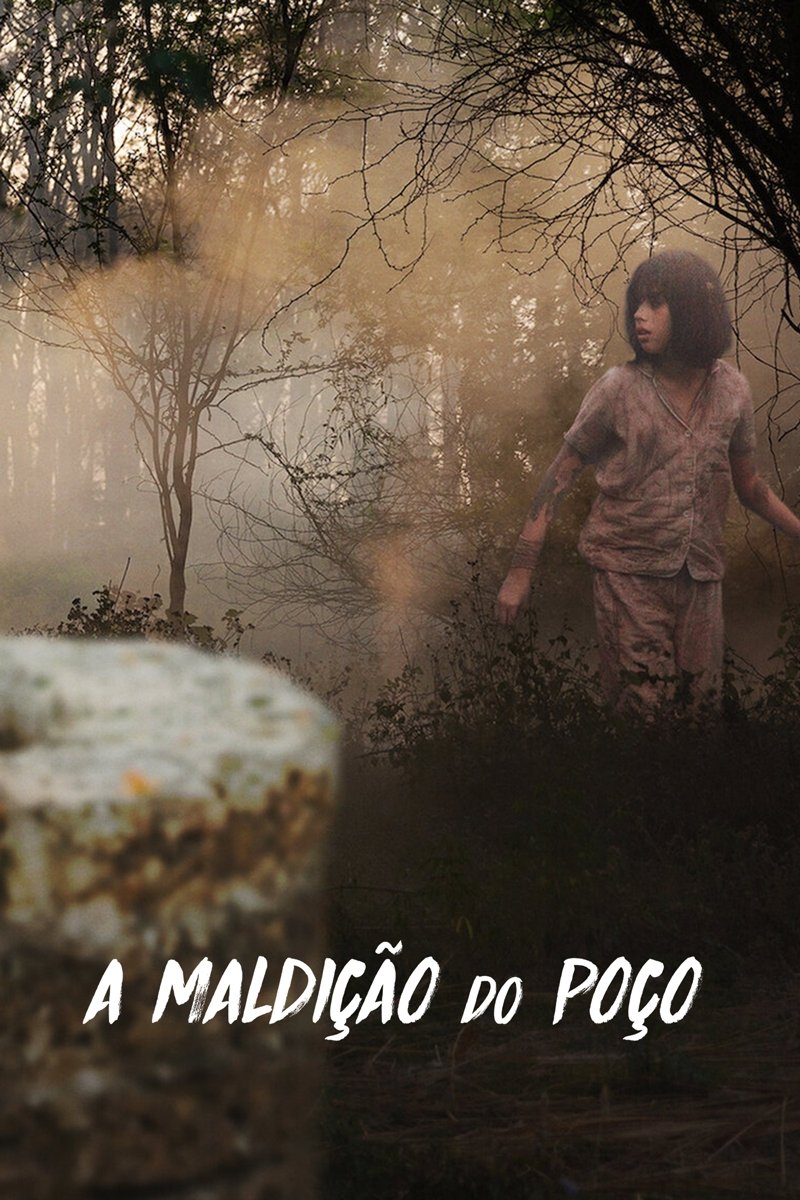 Poster de A Maldição do Poço