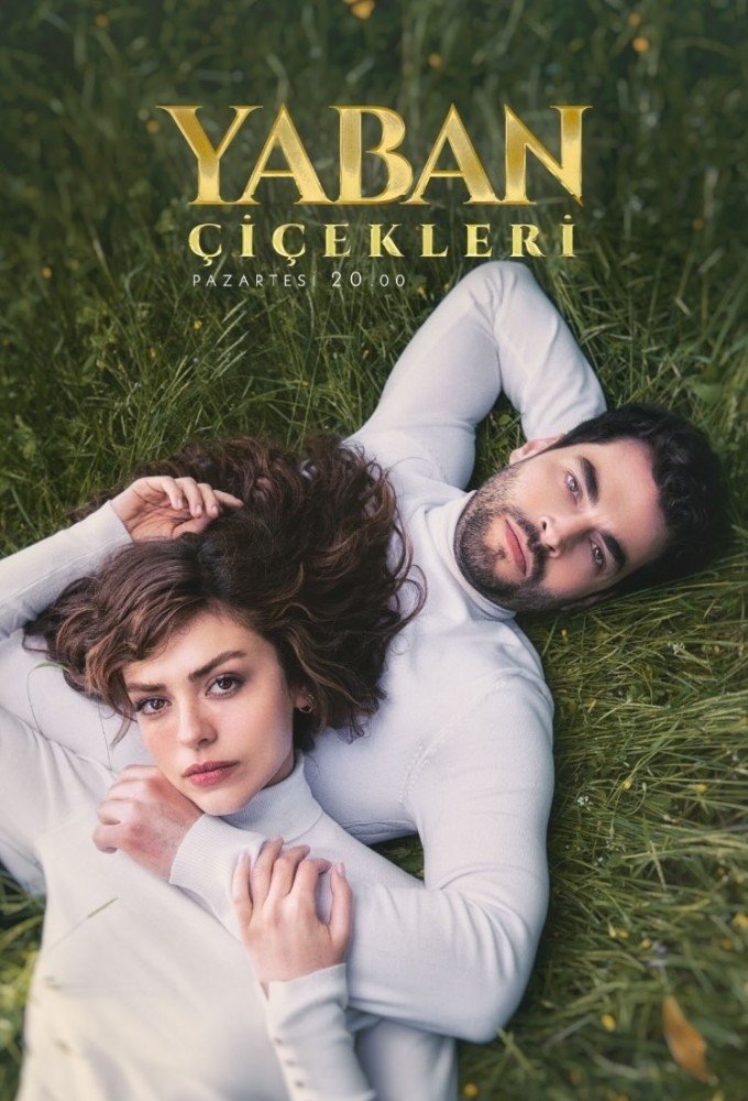 Poster de Temporada 1