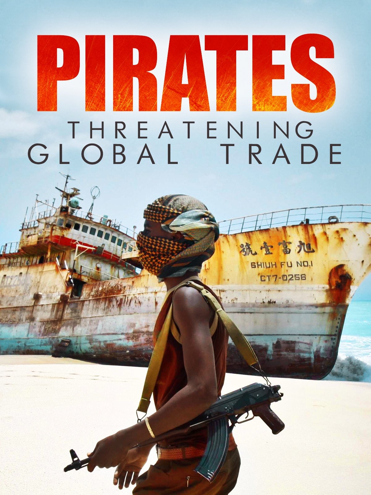 Poster de Pirates : menaces sur le commerce mondial