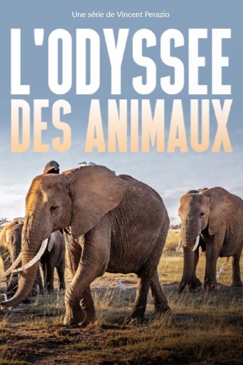 Poster de L’Odyssée des animaux