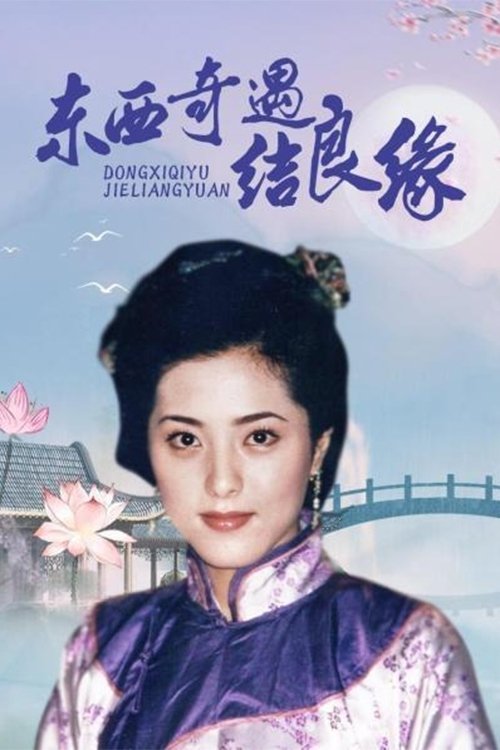 Poster de 东西奇遇结良缘