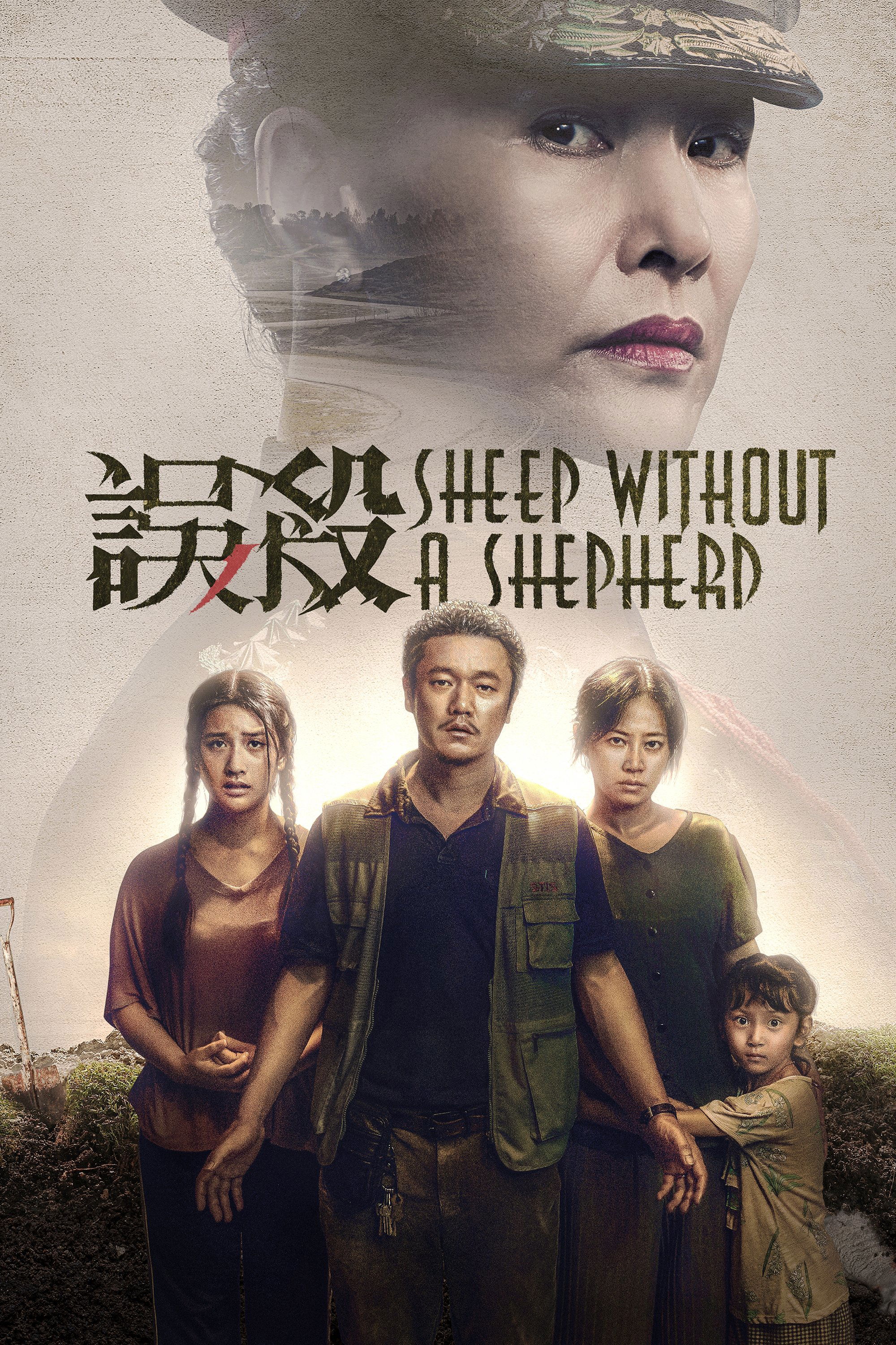 Poster de 误杀