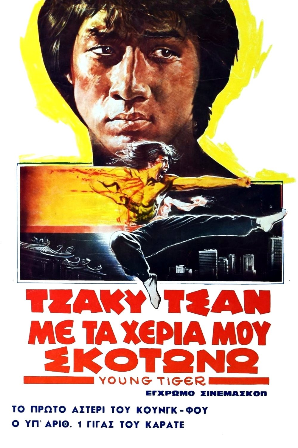 Poster de Vingança do Tigre