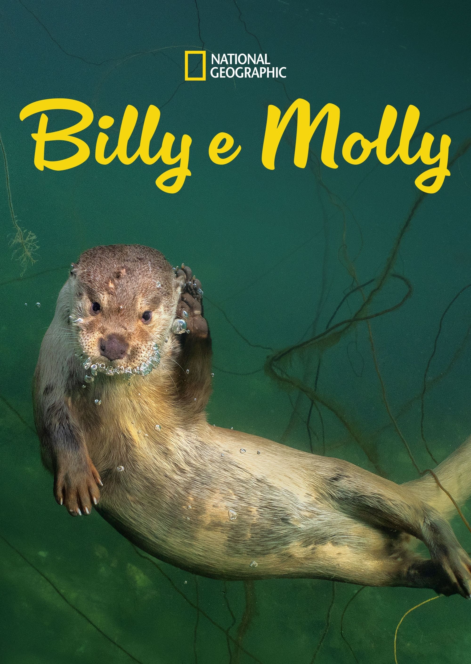 Poster de Billy e Molly: Uma História de Amor Diferente