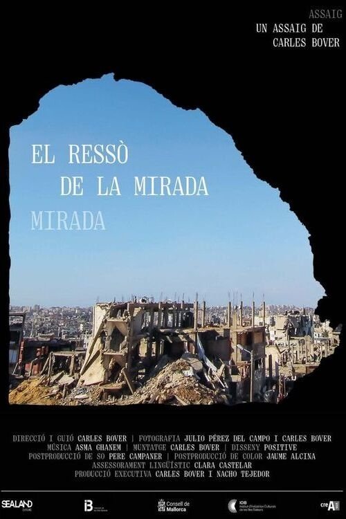 Poster de El ressò de la mirada
