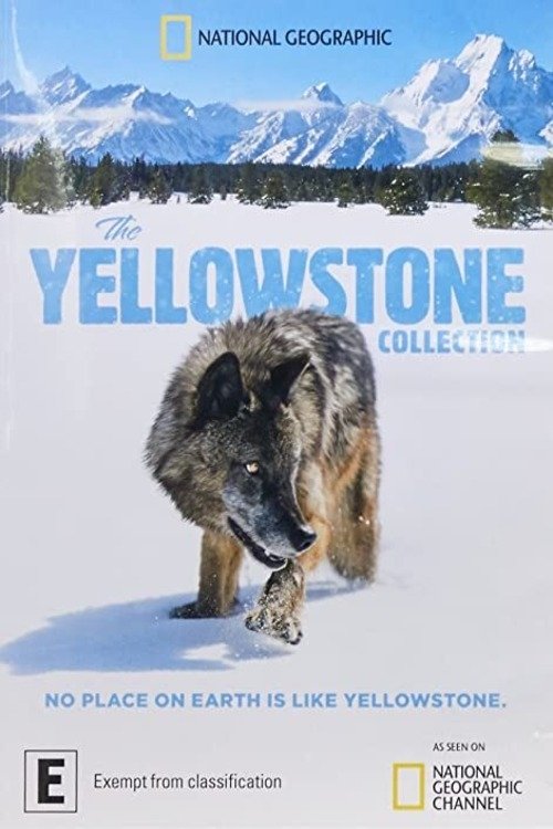 Poster de The Yellowstone Collection
