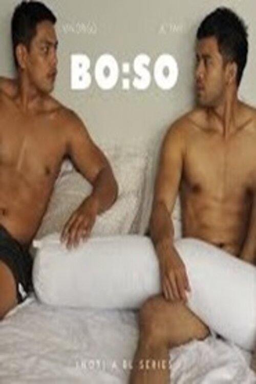 Poster de BO:SO