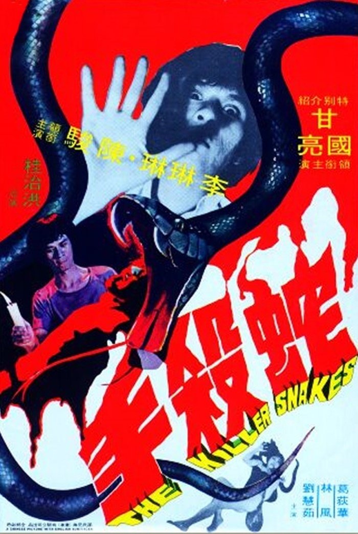 Poster de 蛇殺手