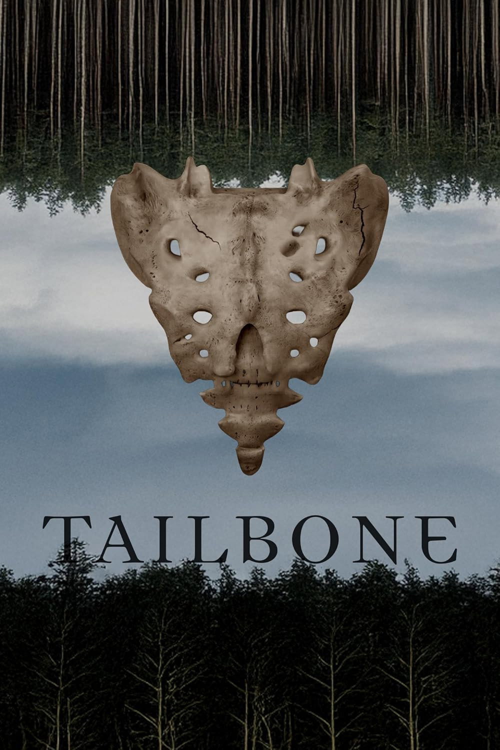 Tailbone