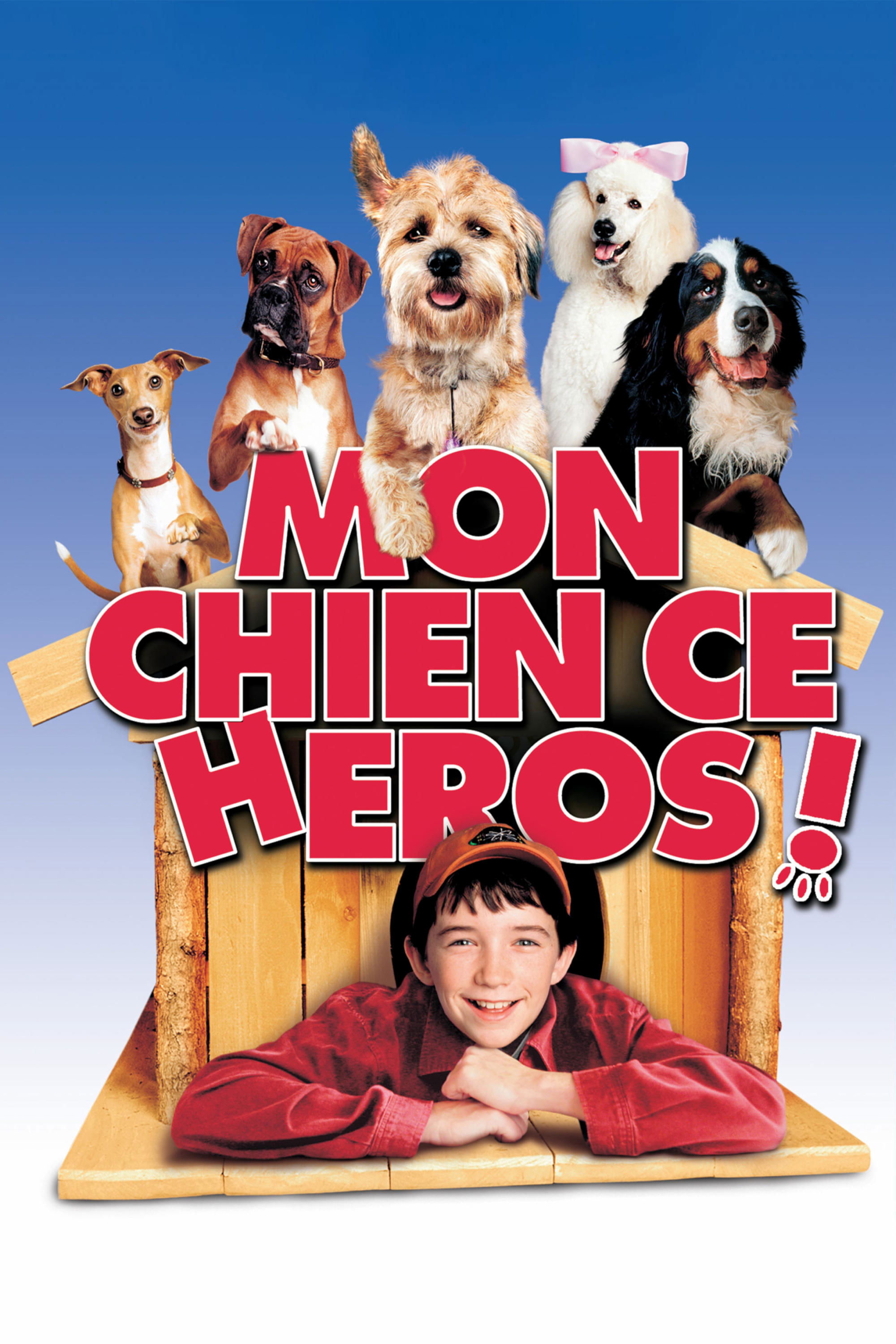Affiche du film Good Boy!